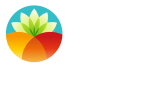 Mery Mancini