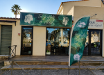 Les reflets d'Alex