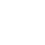 Icono Pasaporte