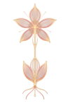 Fleur de Numérologie Harmonique